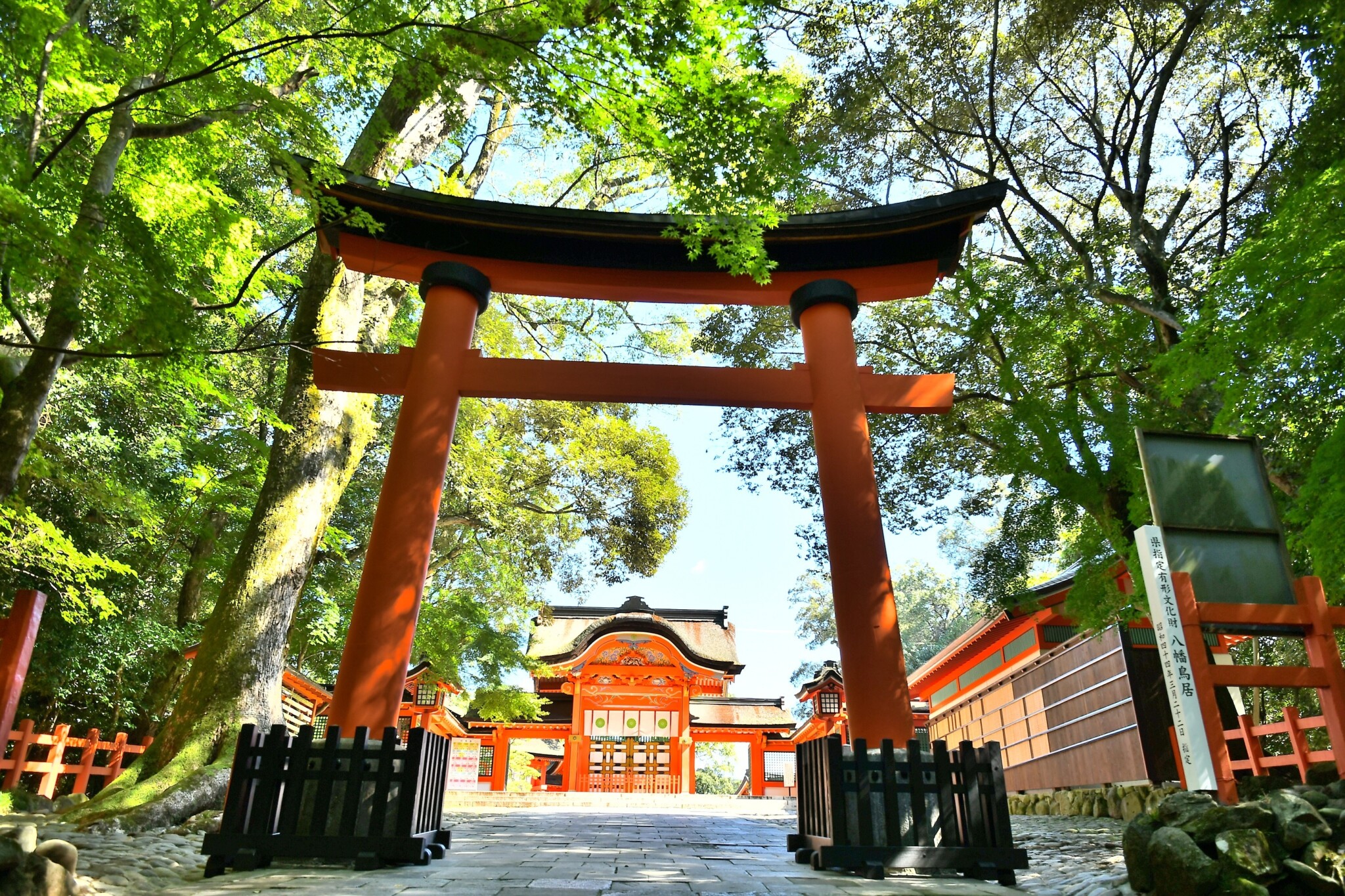 八幡鳥居-新-3m