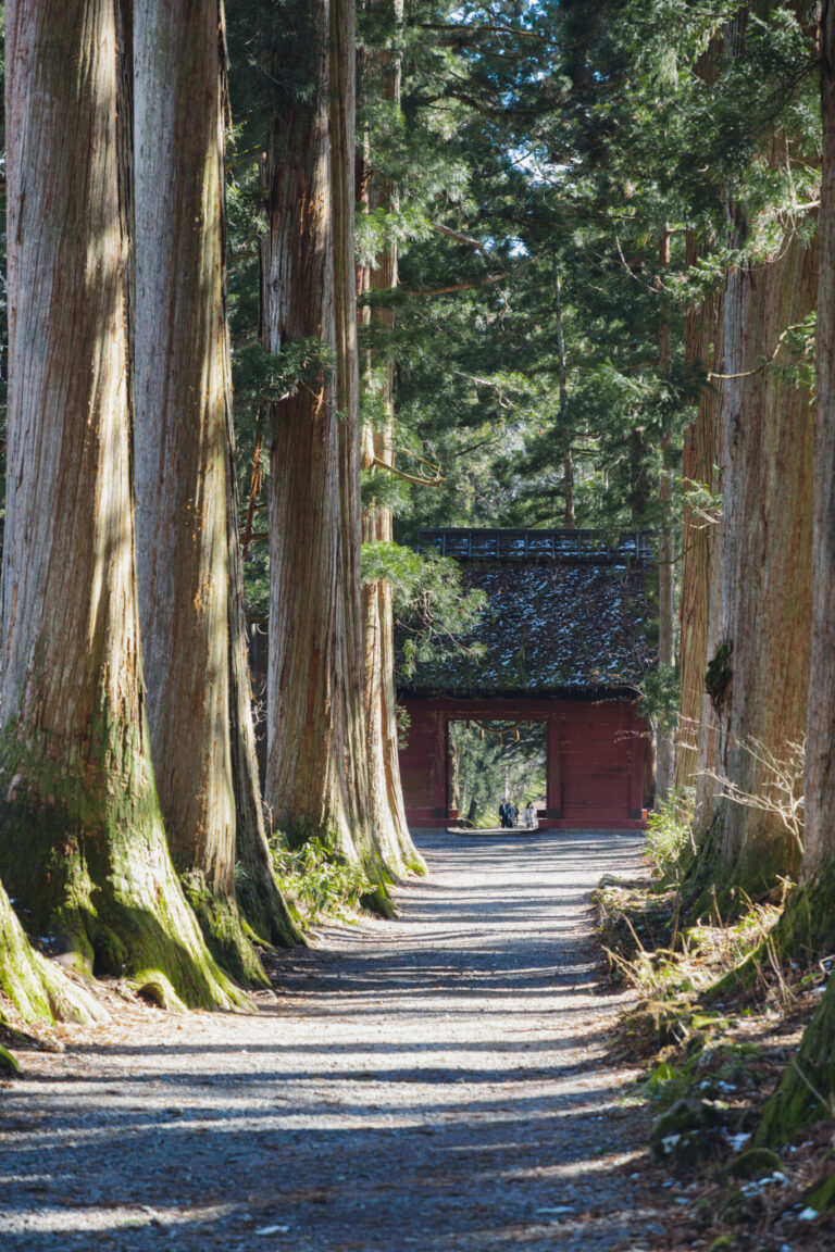 2 000年以上の歴史を刻む 戸隠神社 長野旅 山麓に広がる5つの神社を巡る旅へ Travel Hanako Tokyo