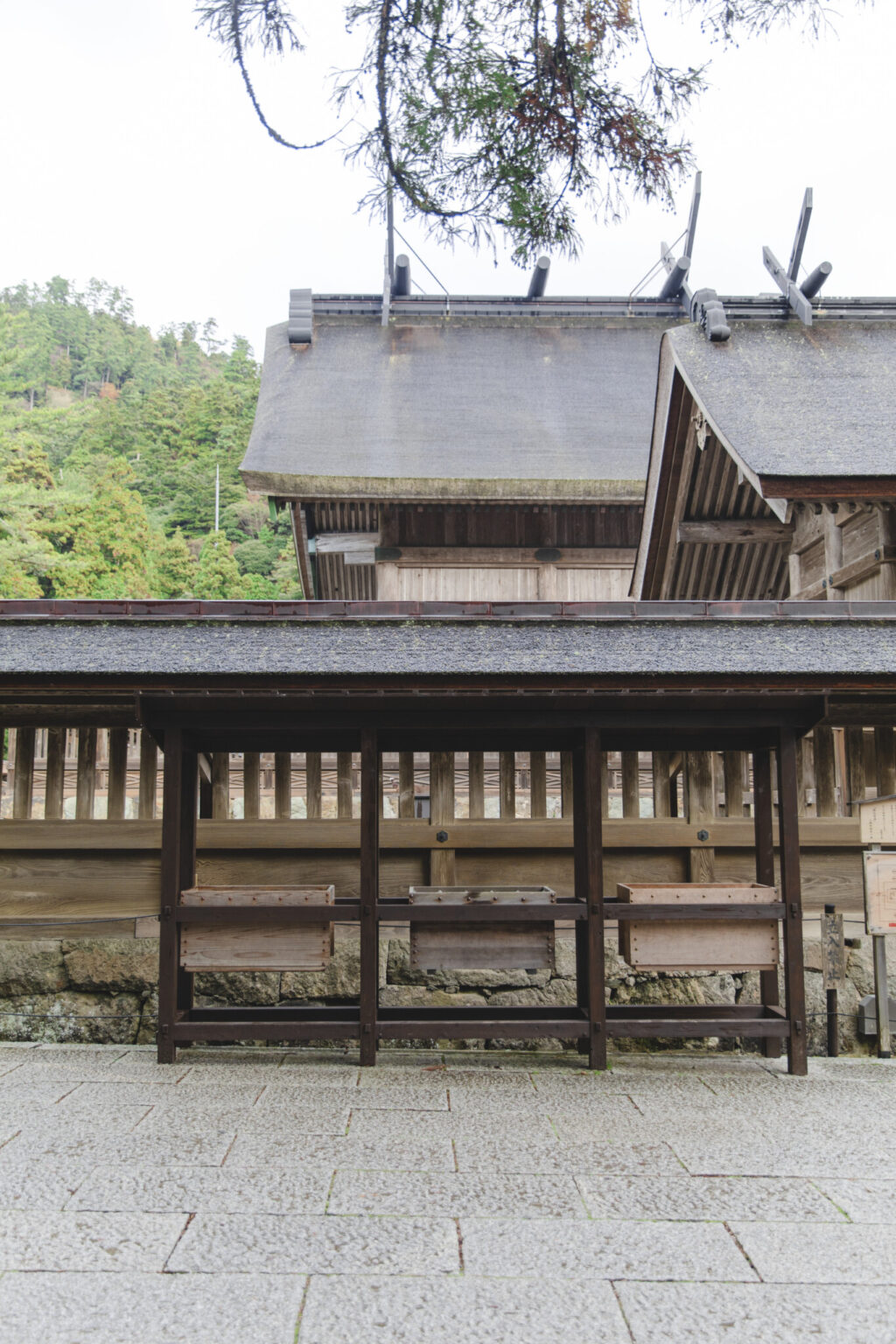 大社造りと呼ばれる日本最古の神社様式が圧巻の御本殿。60年に一度、檜皮葺屋根の葺替え等が行われて御遷宮を行う。平成の大遷宮で美しく蘇った御本殿は、破風（はふ・屋根の三角部分）や千木（ちぎ・屋根に交差して置かれた板木）にも力強さを感じる。
