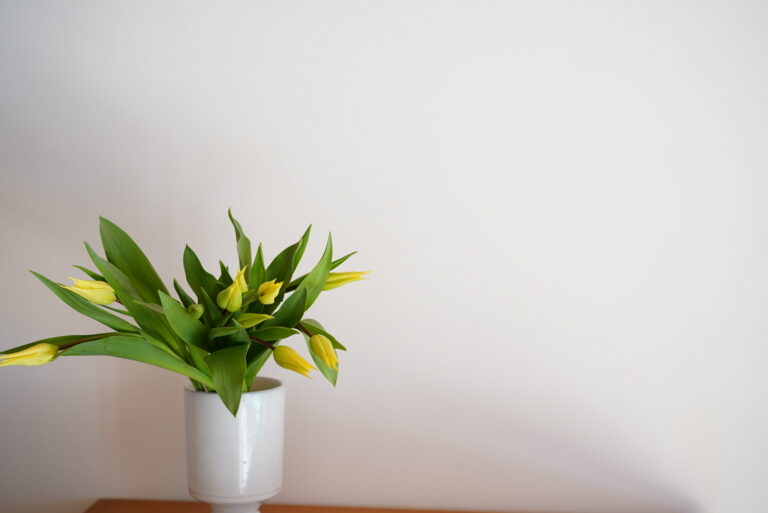 おうち時間に愛でたい 春の花 チューリップのおすすめ品種 飾り方 記事詳細 Infoseekニュース