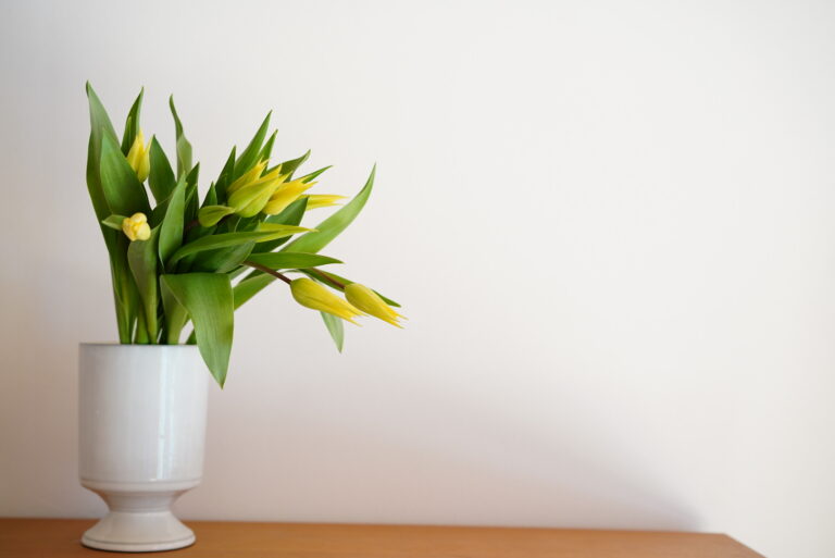 おうち時間に愛でたい 春の花 チューリップのおすすめ品種 飾り方 記事詳細 Infoseekニュース