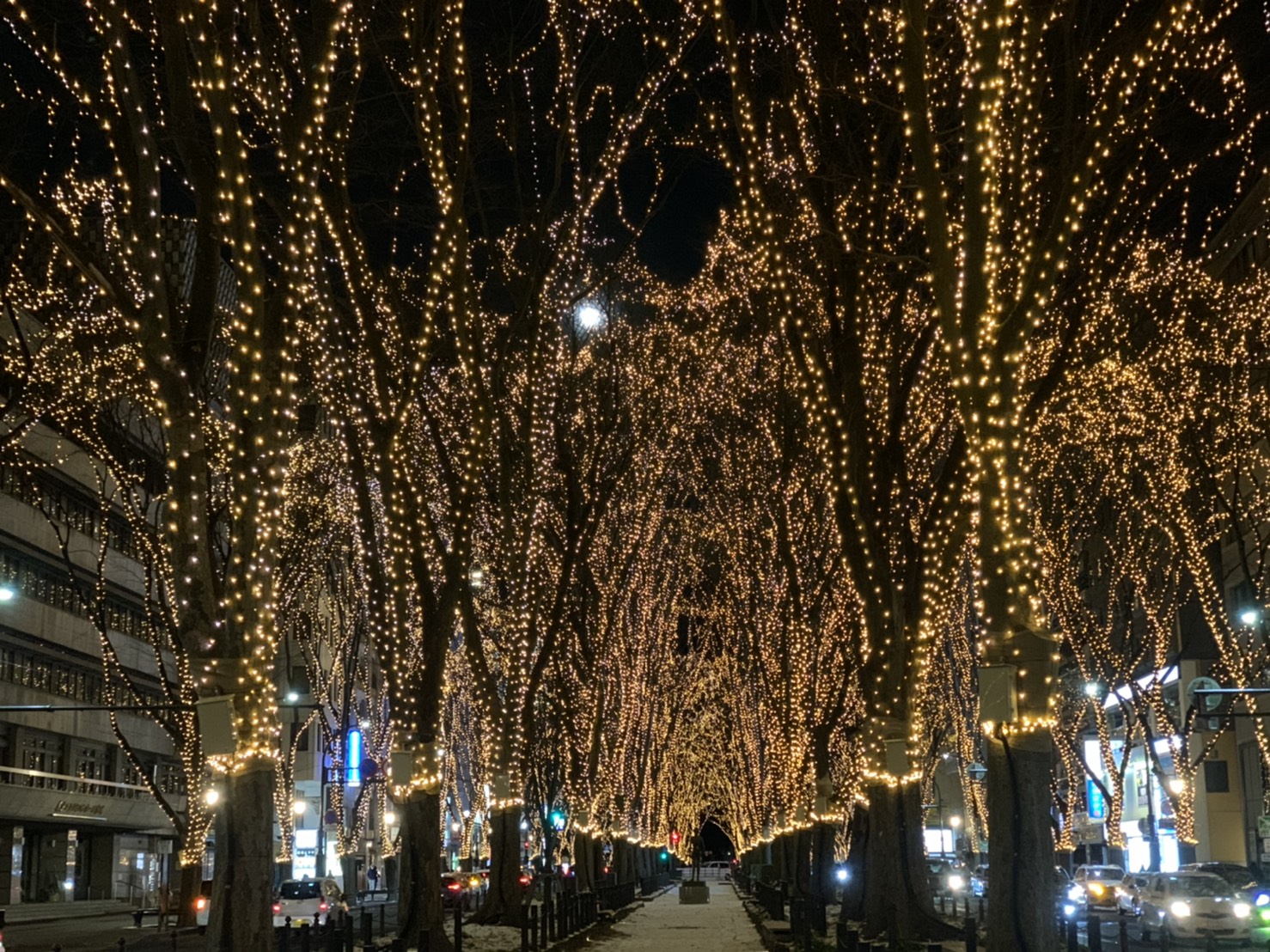 仙台冬の風物詩、光のページェント。今年は歩道が閉鎖されていたけどきれい！