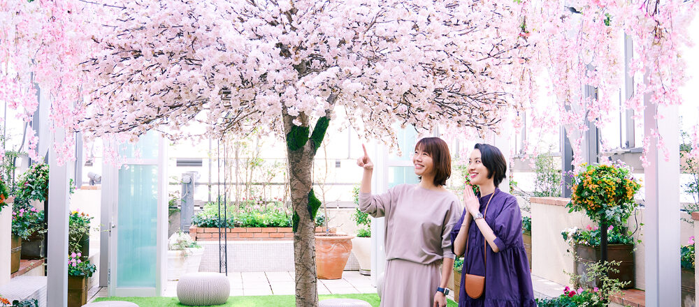 Hanakoコラボの企画もいっぱい ファンケル 銀座スクエアの お花見ガーデン へgo Report Hanako Tokyo