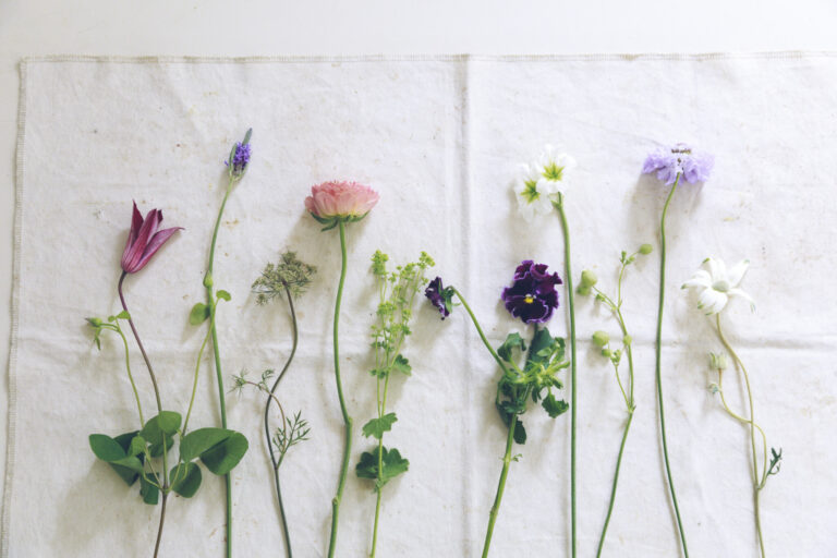 花束を買ったらするべき 7つの基本 フラワースタイリスト 平井かずみさんが伝授 Lifestyle Hanako Tokyo