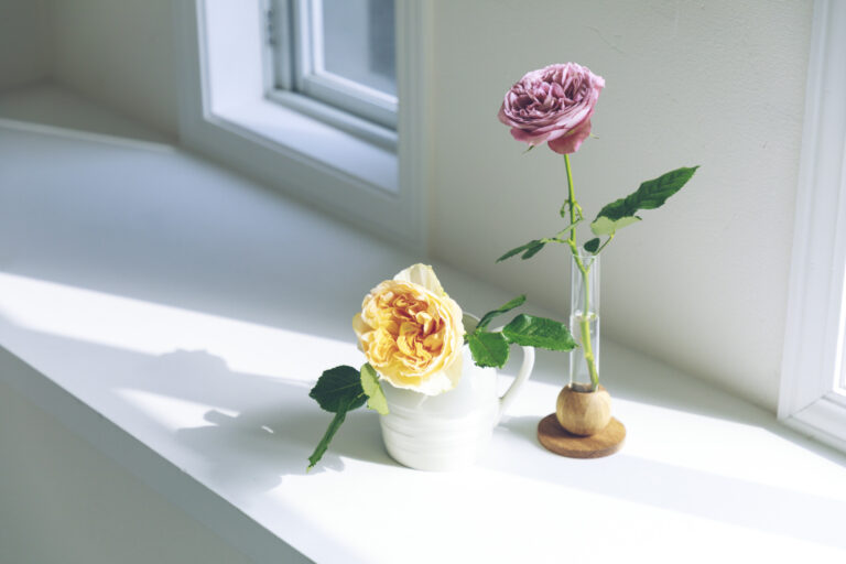 基本 バラの生け方 お手入れの方法 季節のバラを普段使いでたのしもう Lifestyle Hanako Tokyo