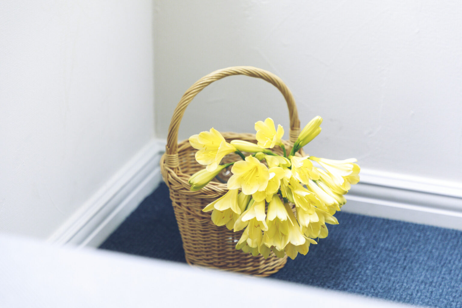 お部屋がおしゃれに見える！お花を使ったインテリア術5選 | Hanako Web