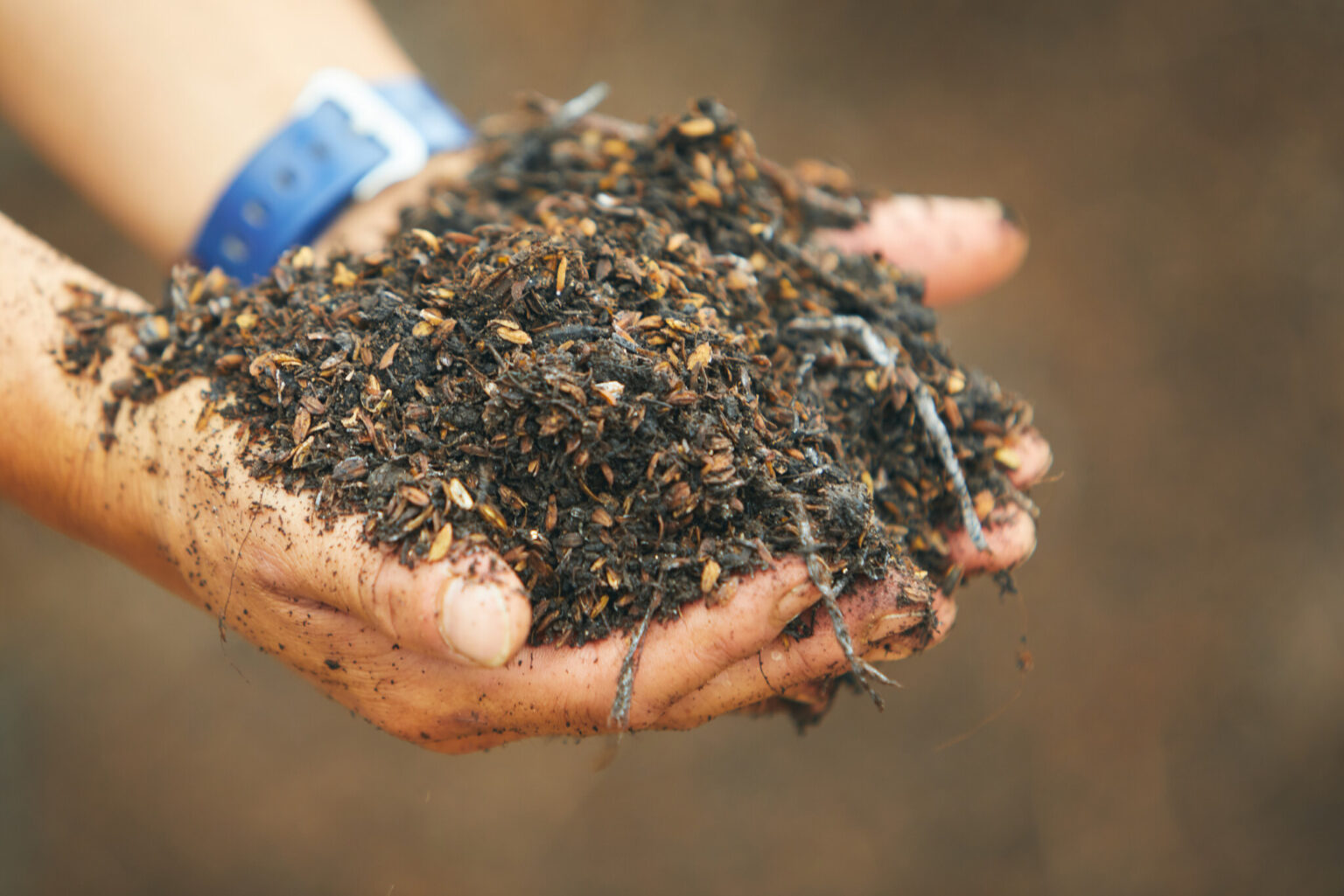 10年かけて土壌を改良。動物の排泄物を堆肥舎で発酵させて循環させることで農作物が健やかに育つ土壌に。
