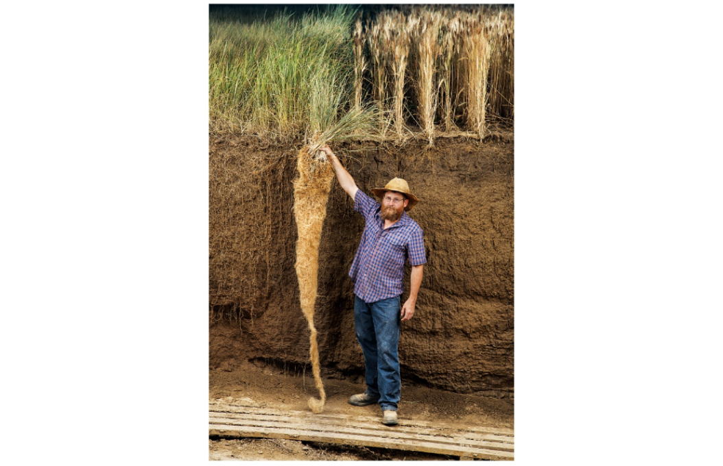 多年生のカーンザと従来の一年生の小麦の根の違いを示す農業生態学者、ジェリー・グローバー。 小麦の根にくらべるとカーンザの根は2mも長く伸び、一年生穀物よりも深くまで地中の栄養分と水を吸収することができます。 多年生植物であることから、カーンザは耕起による土壌破壊の影響を受けずに成長し、土壌中に多くの炭素を取り込みながら豊かな生態系を支えるため、環境を再生する農業にとって理想的な作物です。 JIM RICHARDSON ©︎2021Patagonia, Inc.