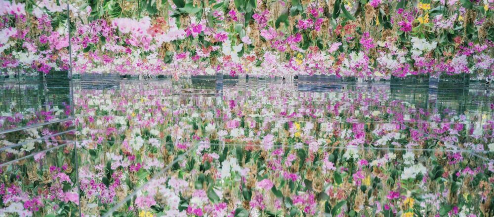 新エリア 13 000株以上の蘭の花に囲まれる非日常体験 チームラボプラネッツ の Garden Area に初潜入 Report Hanako Tokyo