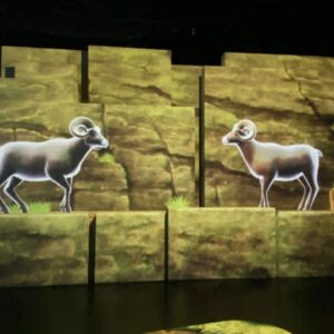 東急プラザ銀座 に新感覚の体験型施設 Zukan Museum Ginza Powered By 小学館の図鑑 Neo が誕生 Report Hanako Tokyo