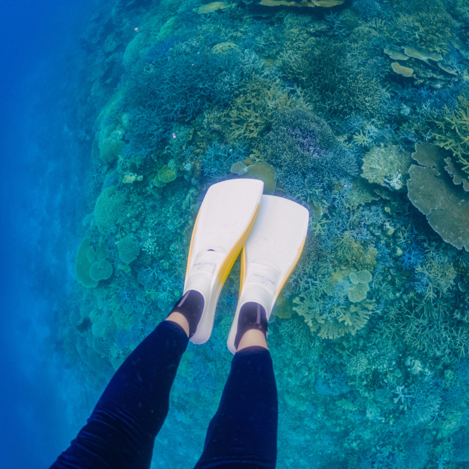 #初シュノーケリング #宮古島の珊瑚礁