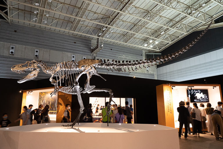 体験型エデュテインメント Dinoscience 恐竜科学博 パシフィコ横浜で開催中 Report Hanako Tokyo