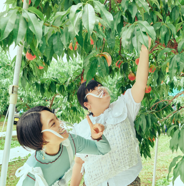 赤く色づいて、丸々とした桃が収穫どき。 赤く色づいて、丸々とした桃が収穫どき。