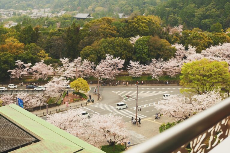 客室からも四季折々の京都の景色を望めます。