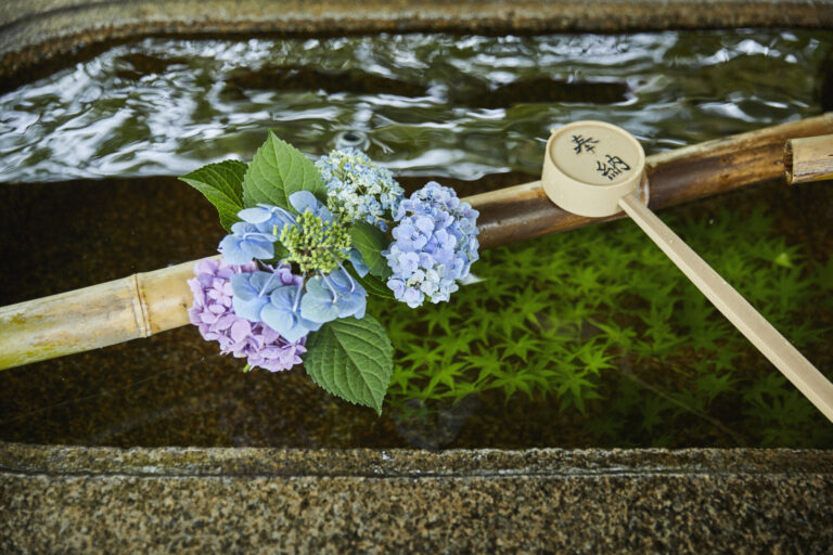 京都 花 手 水