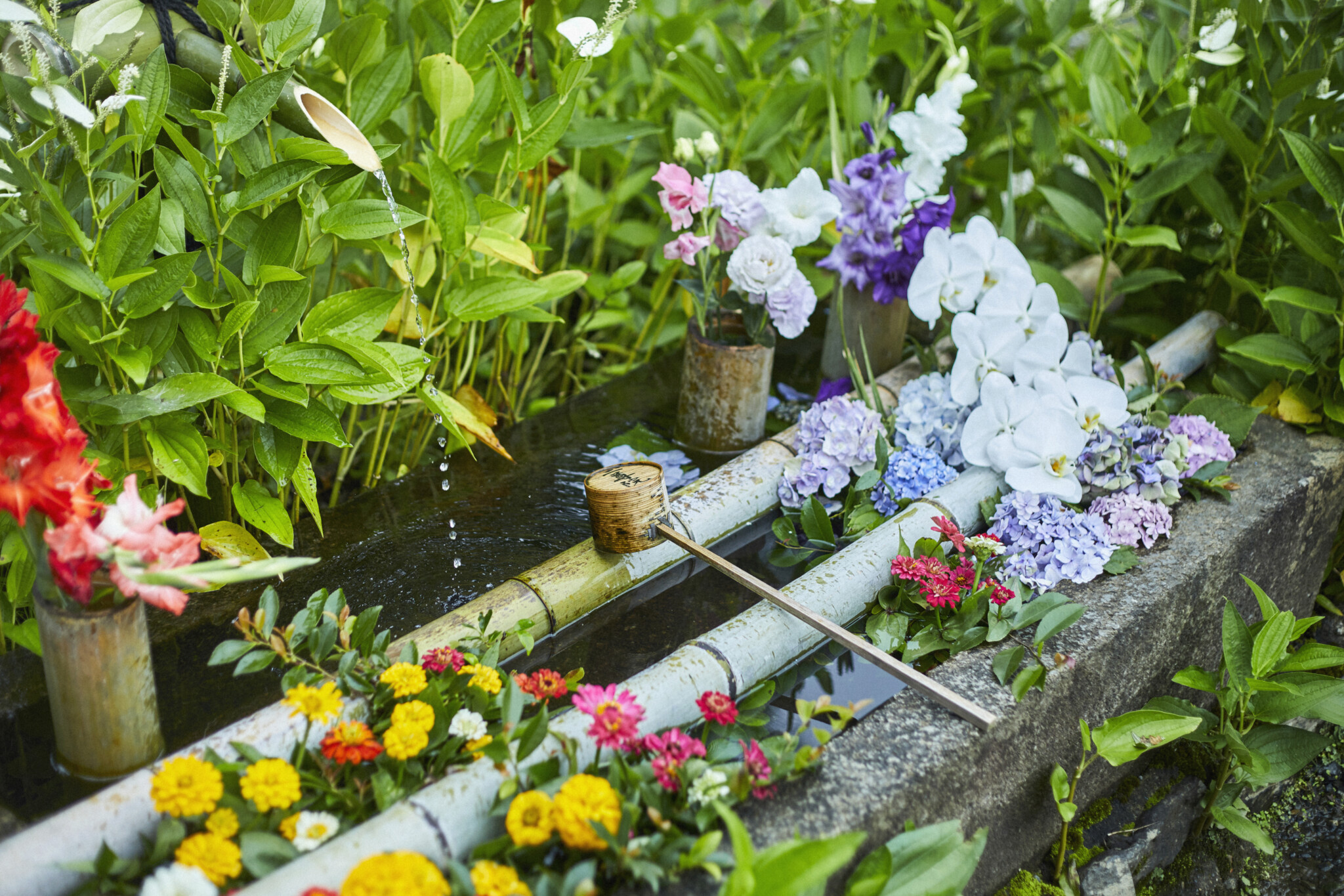 【京都】花手水（はなちょうず）が魅力的な寺社6選。花で作りあげる小さな美の世界へ。