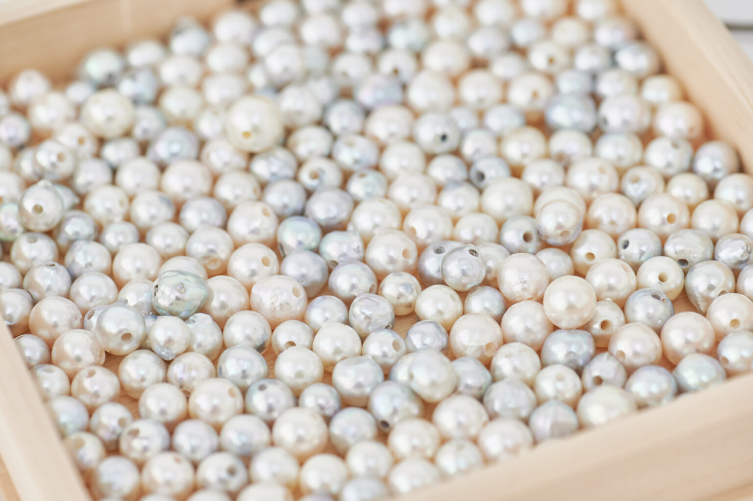 たくさんの真珠の中から、好みのものを2粒選びます。