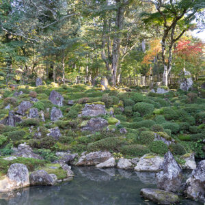 池の向こうの斜面に本堂の仏像に見立てられた19の石が置かれています。