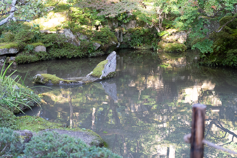 池に舟を象った石は、極楽浄土に行くための船や七福神が乗っている船。寺にある庭は仏の世界を人々に伝えるために作られていると言われます。