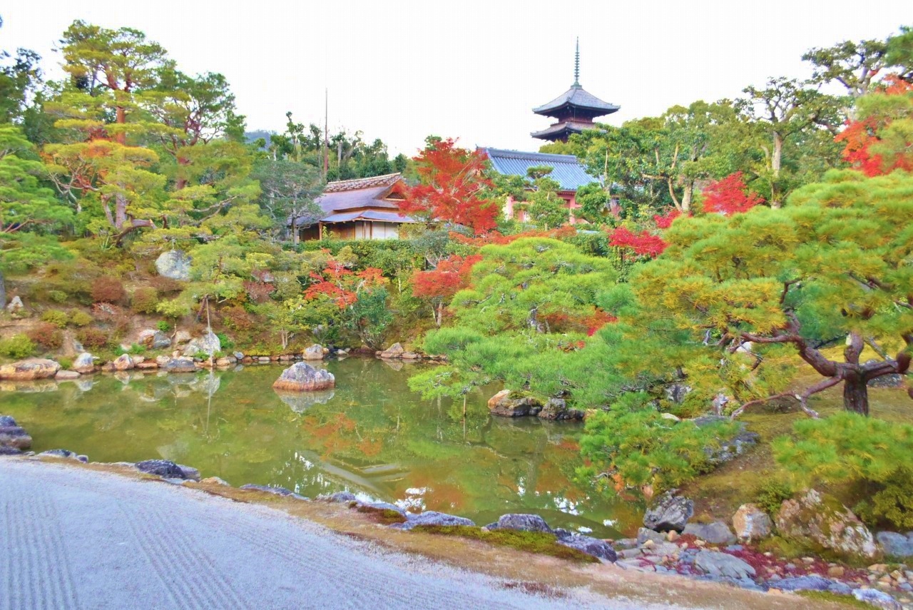 京都〈仁和寺〉