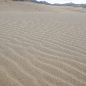 風によってえがかれる砂の波模様「風紋」は砂丘独特の風景。足跡の少ない早朝に訪れるとよりきれい。