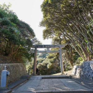 森林浴も楽しめる神社参道。朝は空気が澄んでいて、とっても気持ちい！