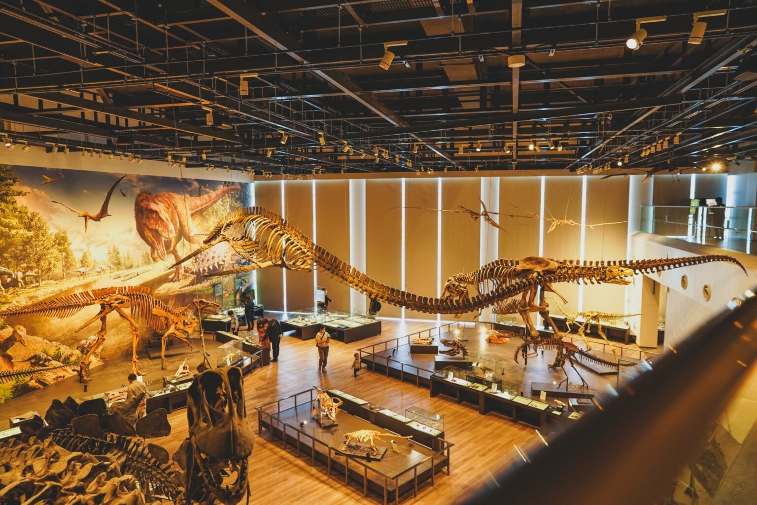ティラノサウルス・レックスの骨格レプリカは約13mもあり、見ての通りの存在感！