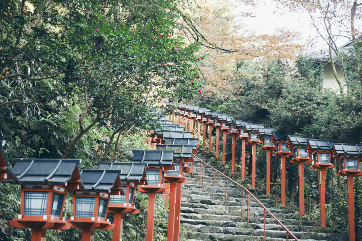 神社とお寺、そして聖地へ日本・開運の旅。 | Hanako Web