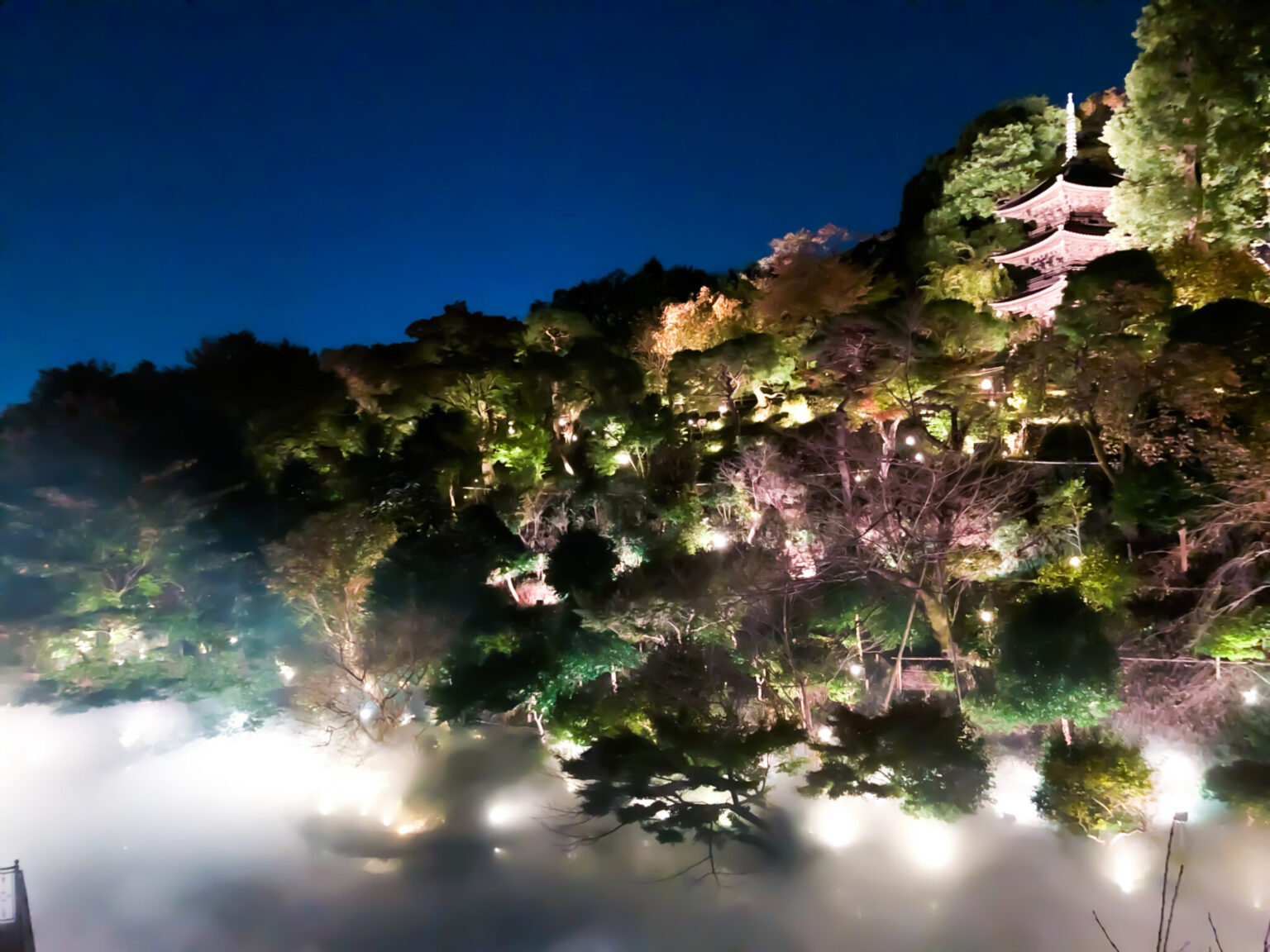 ホテル椿山荘東京　森のオーロラ