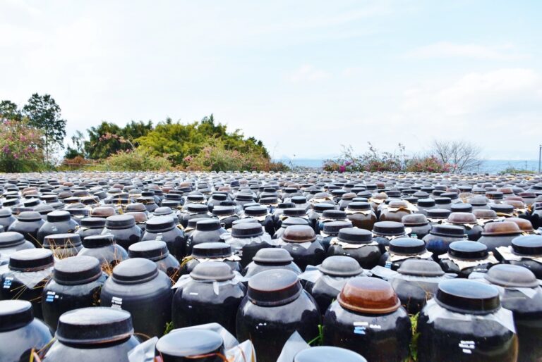 約2万個の壺が並ぶ「壺畑」。