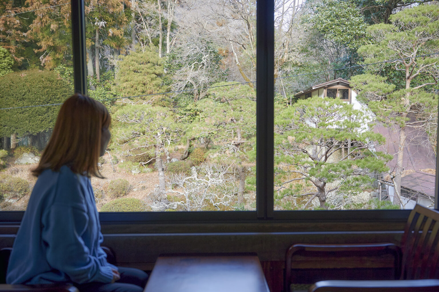 大きな窓からは自然豊かな日本庭園が。