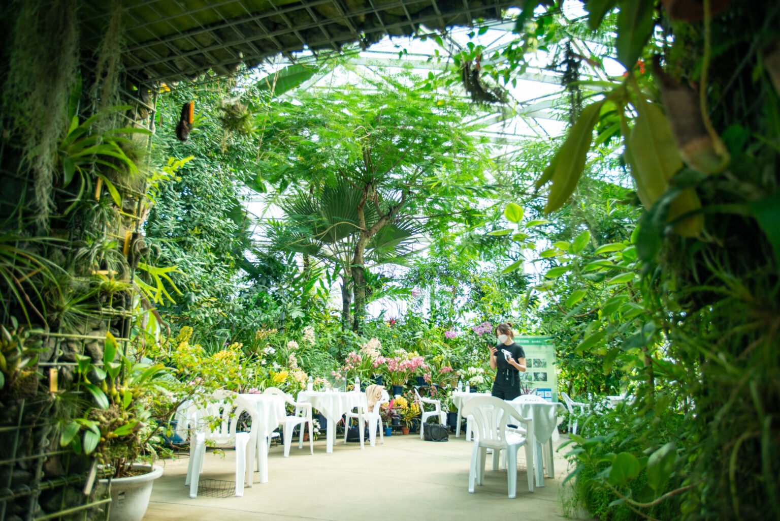新宿御苑は“都会のオアシス”として知られており、温室では、熱帯・亜熱帯の植物を中心に約2,700種が栽培されています。