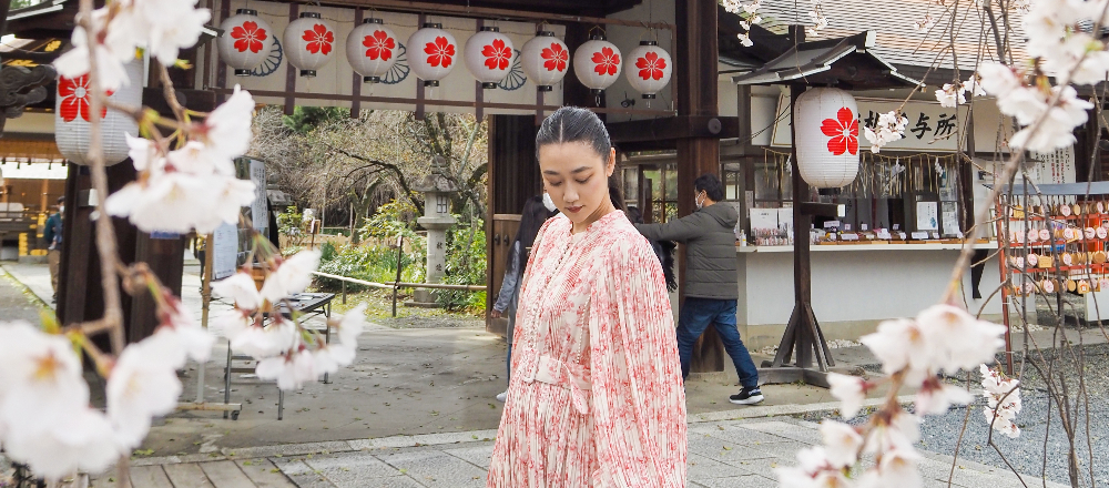 【京都】桜のトンネルは圧巻！春爛漫の〈平野神社〉へ