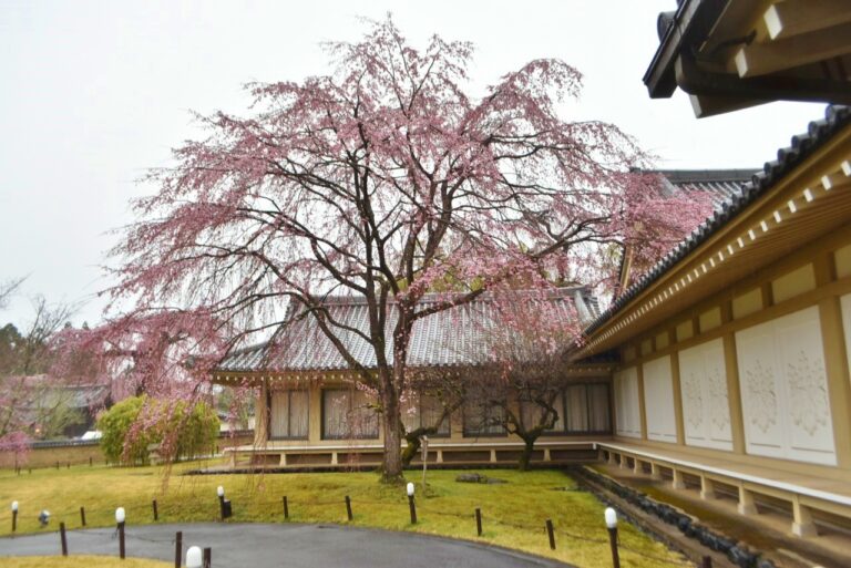 京都〈醍醐寺〉