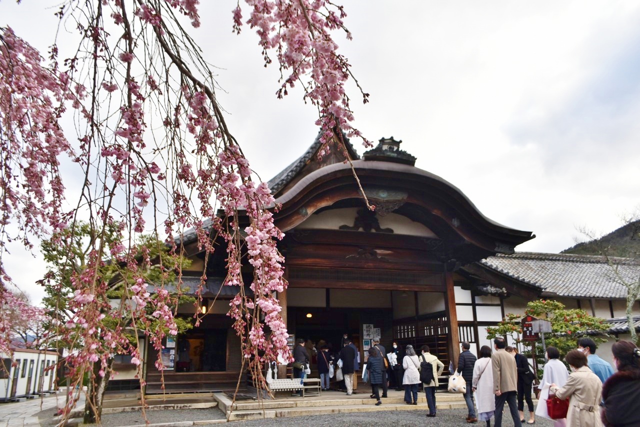 京都〈醍醐寺〉