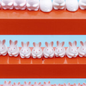 #白とピンクの狛うさぎ #うさぎおみくじの入れ物が並ぶフォトジェニックスポット #岡崎神社