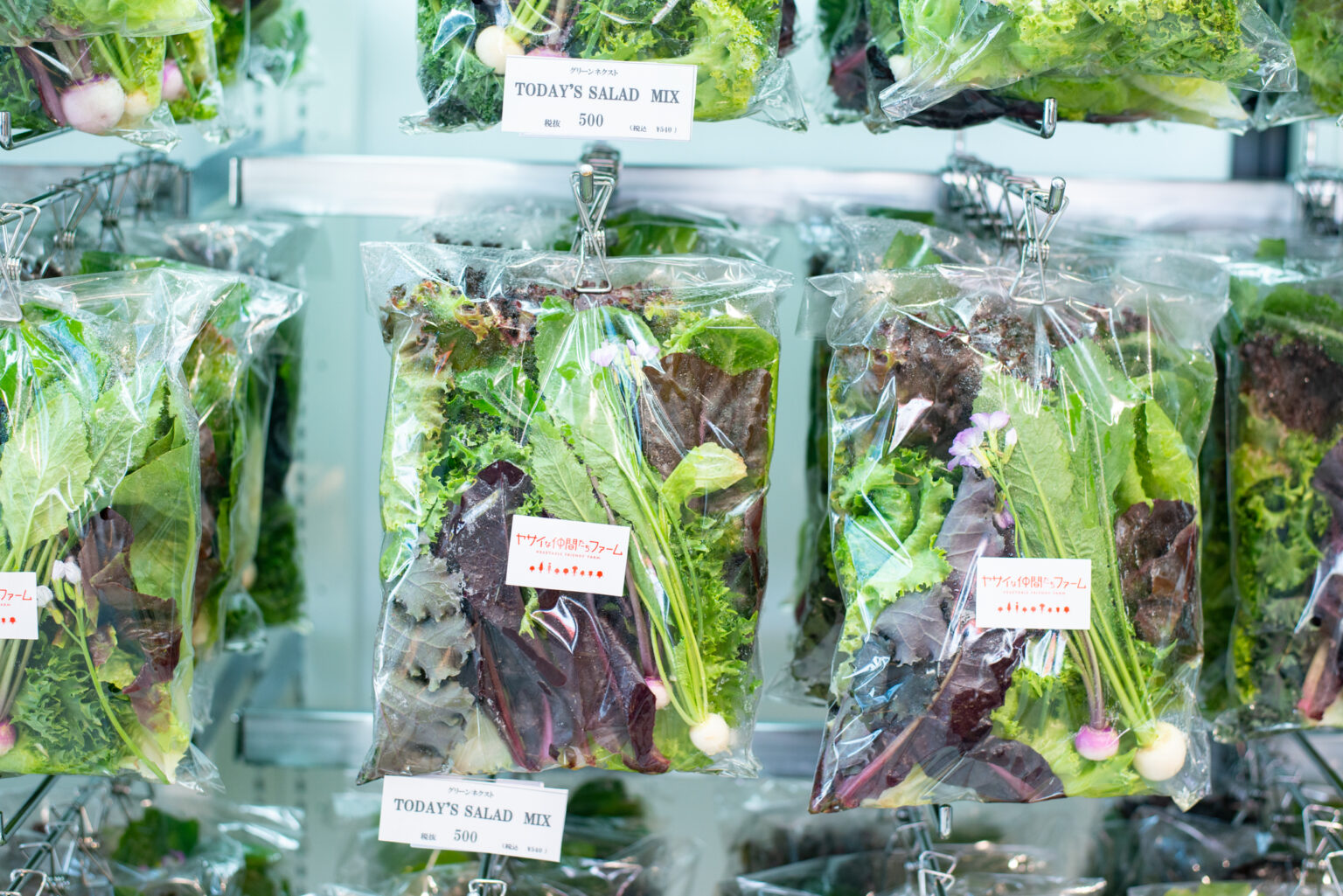 オススメの商品の一つが、一つのパックに葉物や根菜、エディブルフラワーなどが収められている「Today's Salad Mix」。簡単に、なおかつ野菜を無駄にすることなく、彩り豊かなサラダを作ることができます。