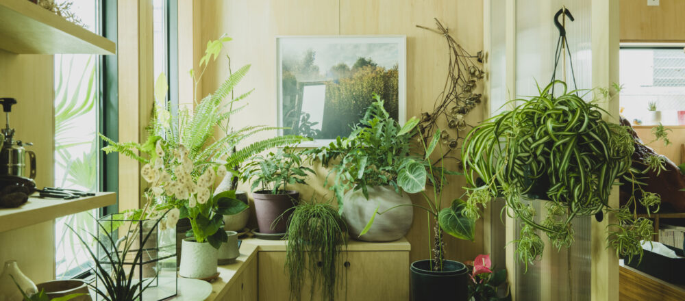 植物と暮らす人 生花店 Farver 経営 渡辺礼人 安樹子の 植物を育てるマイルール Lifestyle Hanako Tokyo