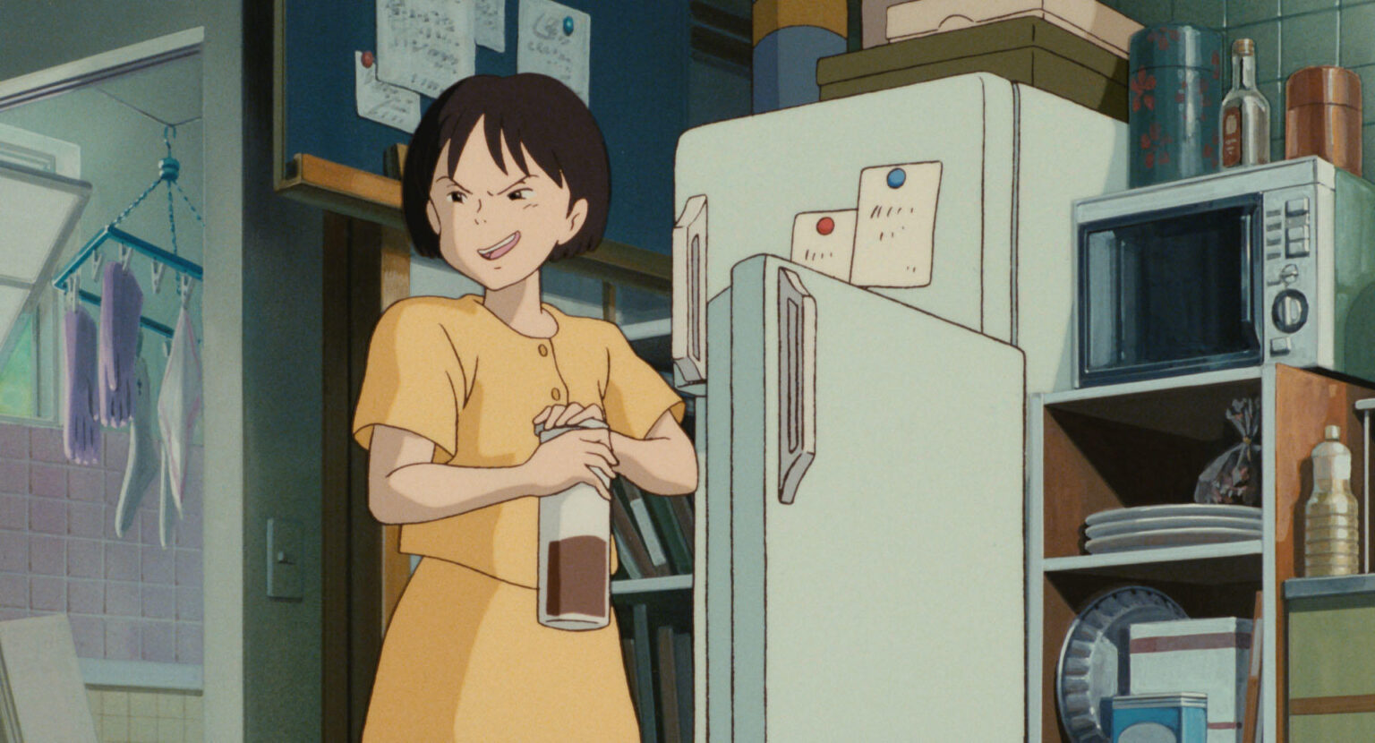 © 1995 柊あおい/集英社・Studio Ghibli・NH