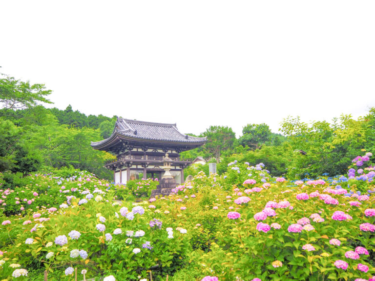 京都 華觀音寺