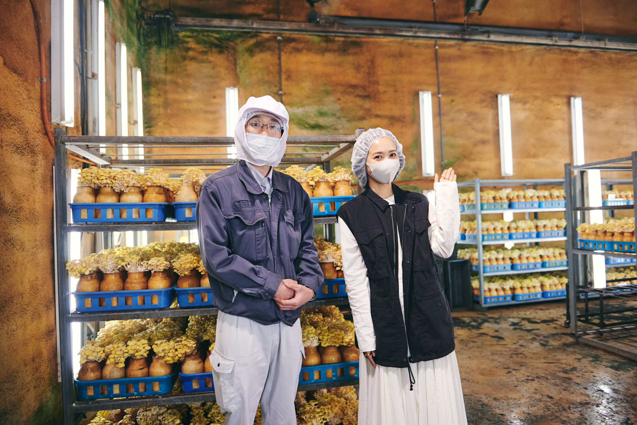 火鍋店〈裏の山の木の子〉常連のモデル・田中里奈さんが生産者訪問！おいしいキノコ作りを学ぶ。