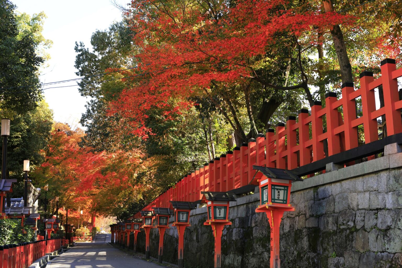 「祇園うるわし朝まいり」で行く〈八坂神社〉の境内は、紅葉がきれい！