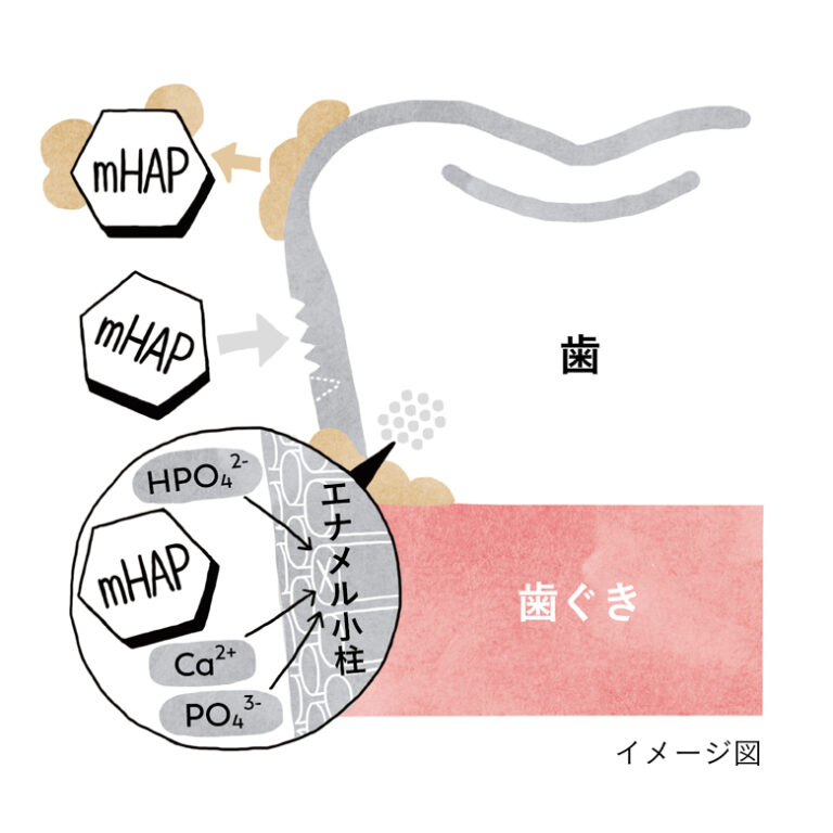 ill-04 ill-04