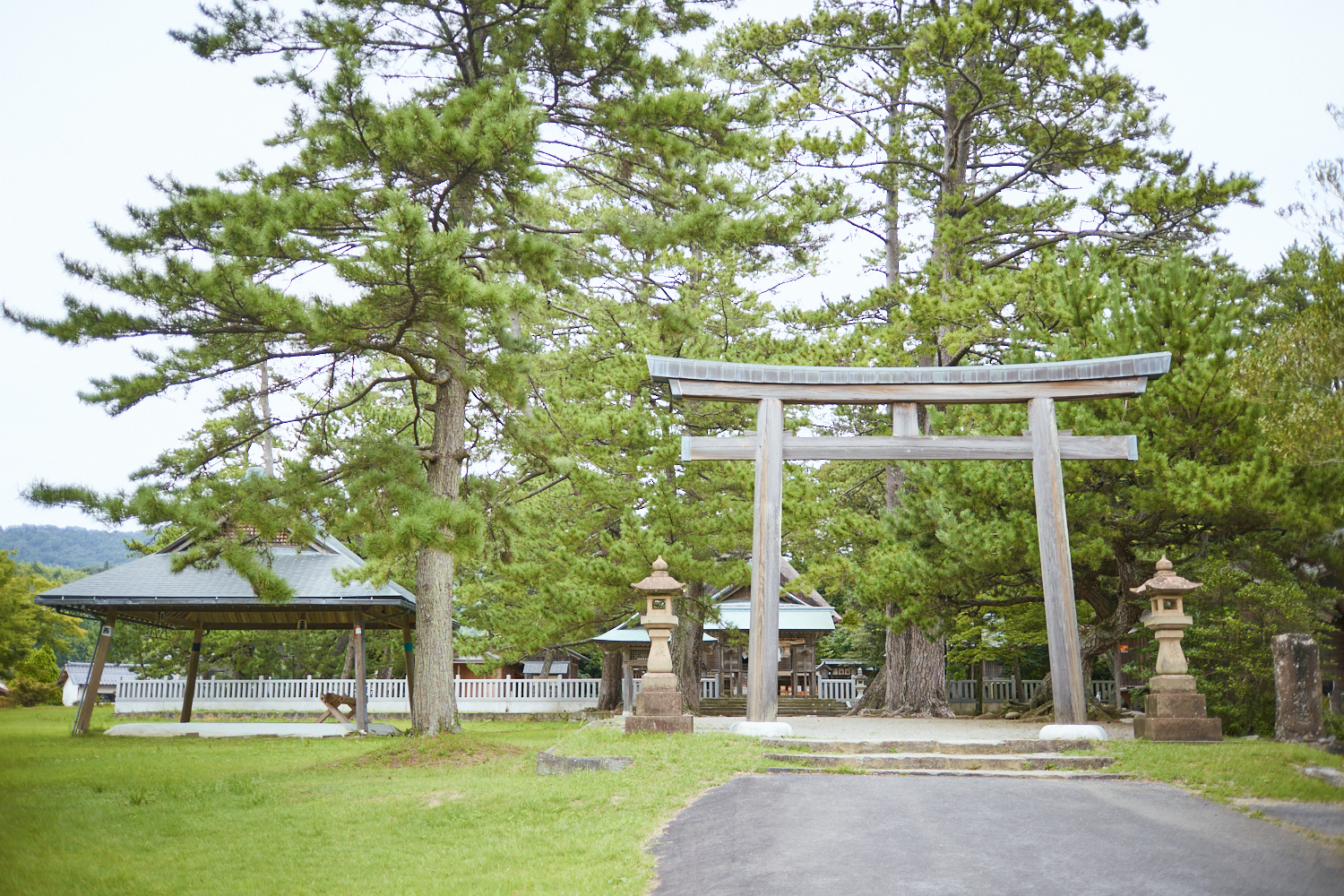 鳥居の左手には大きな土俵。古典相撲には各集落の代表が参加する。
