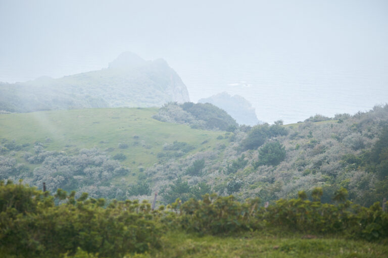 天気が良ければ、牧草地の緑と海の青のコントラストが美しいが、霧にけむる景色も幻想的で美しい。