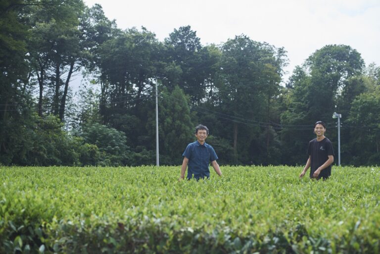 和紅茶の品種・いずみの茶畑にて。左から、6代目の𠮷田正浩さん、7代目の浩樹さん。