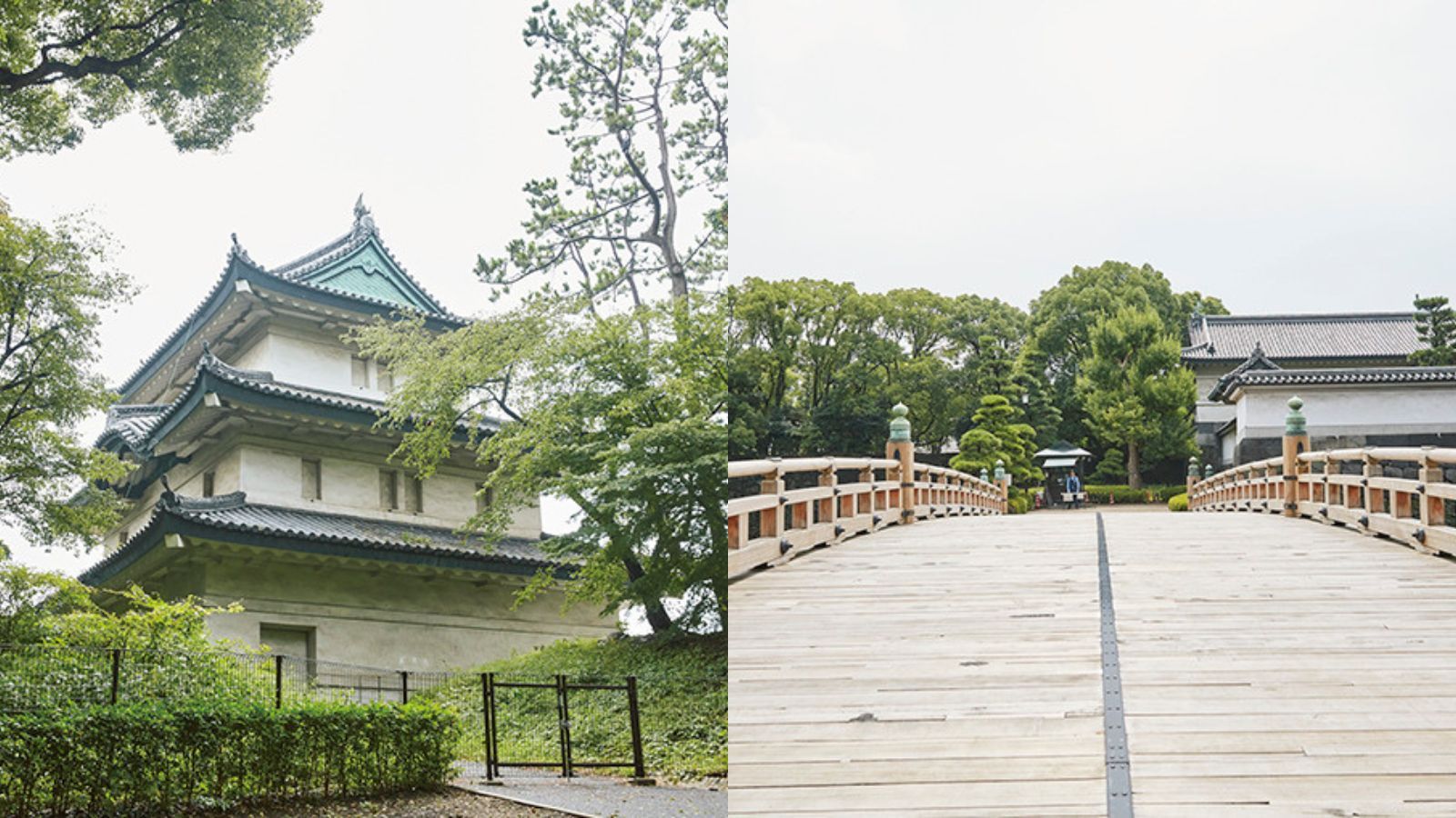 活動歴および当時の関連ビジュアル記録