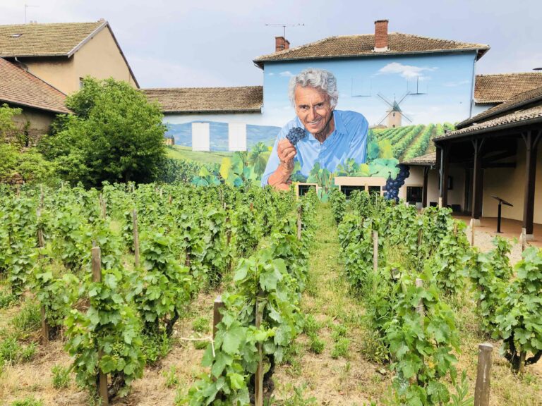 フランス・ブルゴーニュ地方の中でも気候に恵まれ上質なワインづくりに適していると言われるボジョレー地区の農園。
