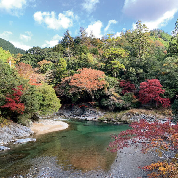 住所：奈良県吉野郡東吉野村小　TEL：0746-42-0032