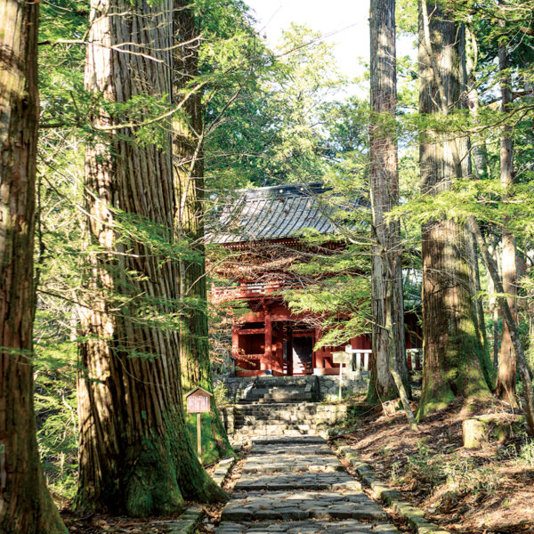 住所：栃木県日光市山内　TEL：0288-54-0535（日光二荒山神社）　参拝自由